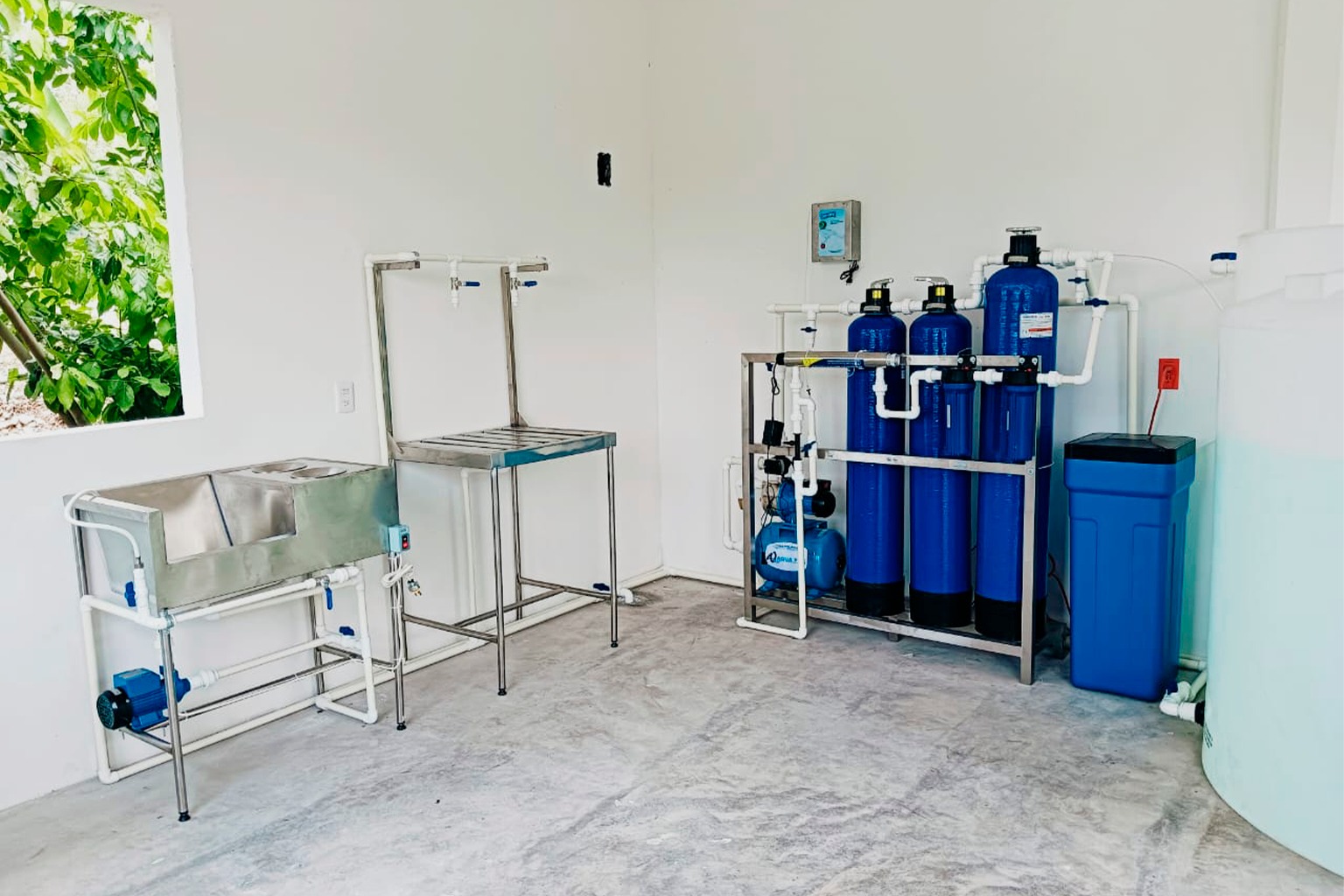 Purificadora Tradicional